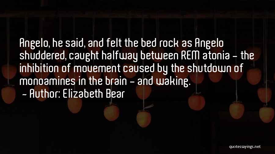 Rem Sleep Quotes By Elizabeth Bear