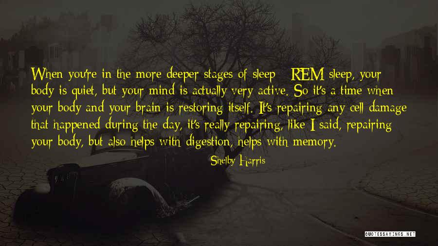 Rem Sleep Quotes By Shelby Harris Rem Sleep Quotes By Shelby Harris