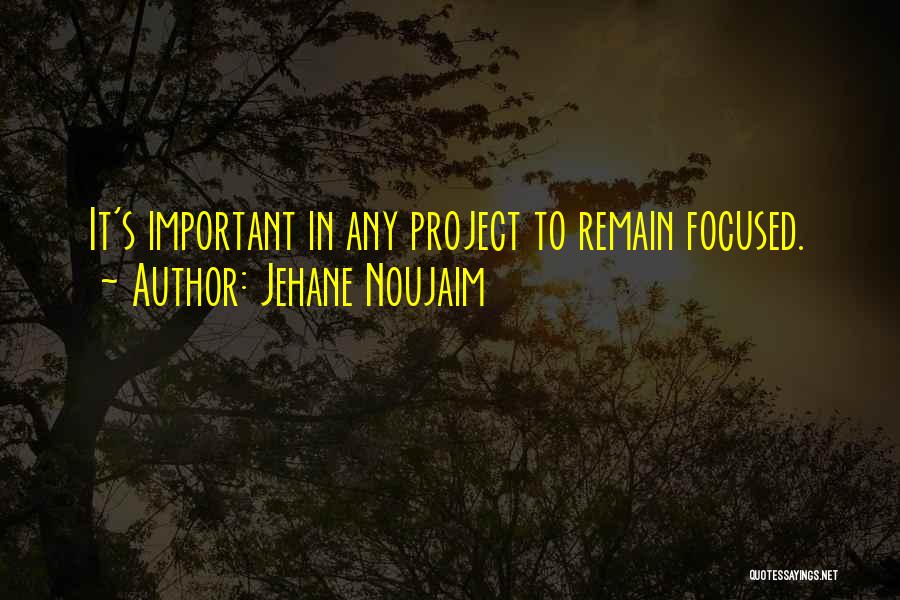 Remain Focused Quotes By Jehane Noujaim