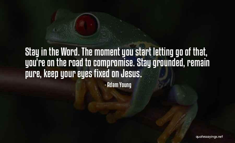 Remain Grounded Quotes By Adam Young Remain Grounded Quotes By Adam Young