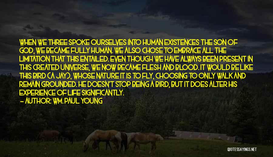 Remain Grounded Quotes By Wm. Paul Young