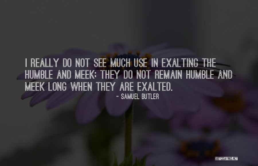 Remain Humble Quotes By Samuel Butler