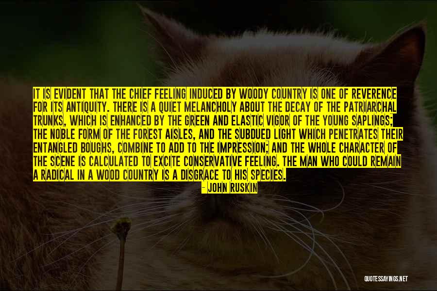 Remain Quiet Quotes By John Ruskin Remain Quiet Quotes By John Ruskin