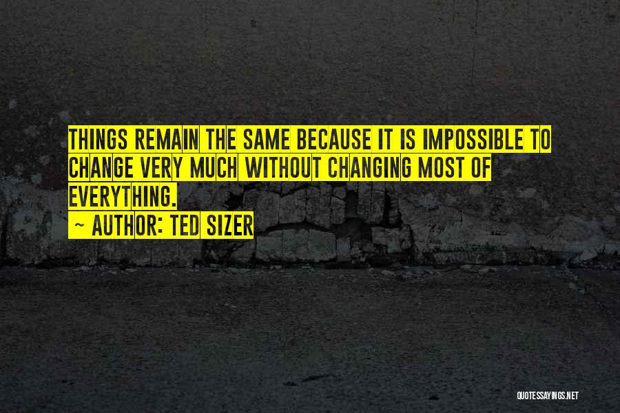 Remain Same Quotes By Ted Sizer