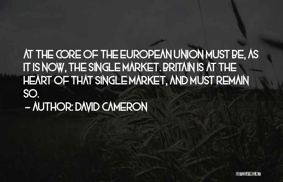 Remain Single Quotes By David Cameron