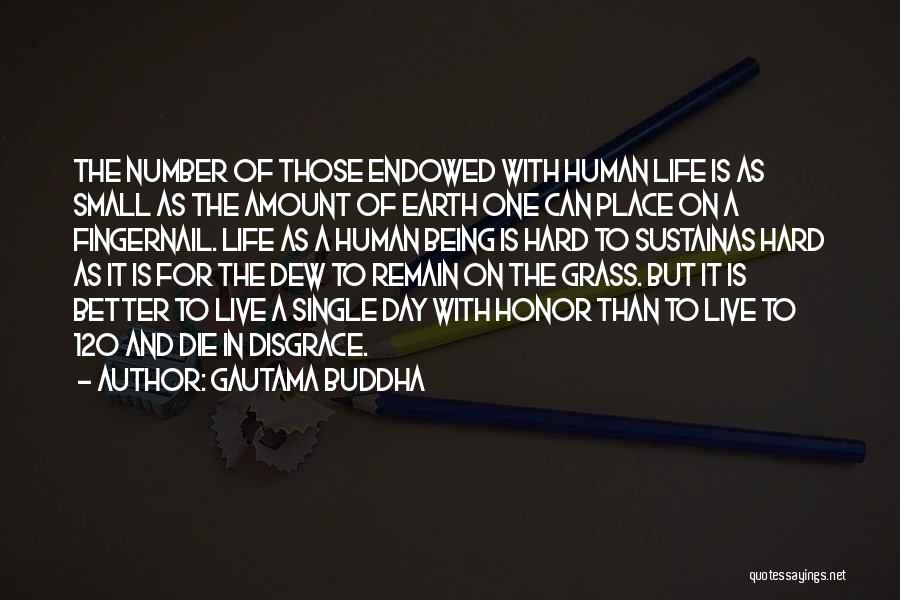 Remain Single Quotes By Gautama Buddha
