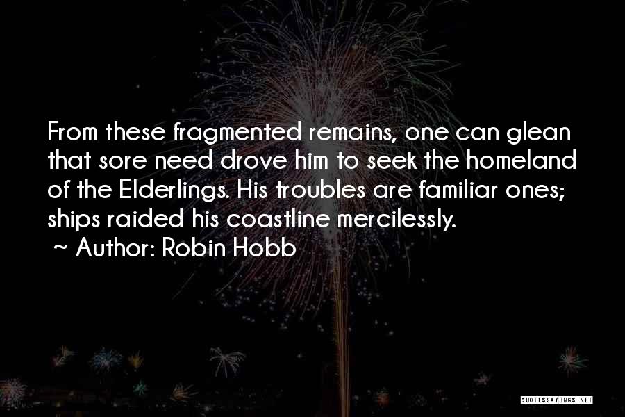 Remains Quotes By Robin Hobb
