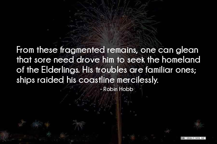 Remains Quotes By Robin Hobb