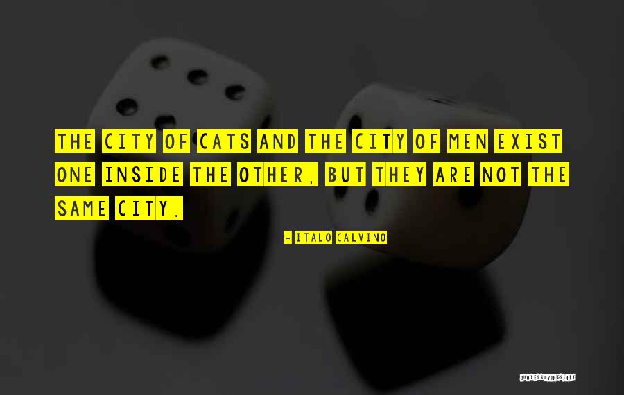 Remarais Jean Baptiste Quotes By Italo Calvino Remarais Jean Baptiste Quotes By Italo Calvino