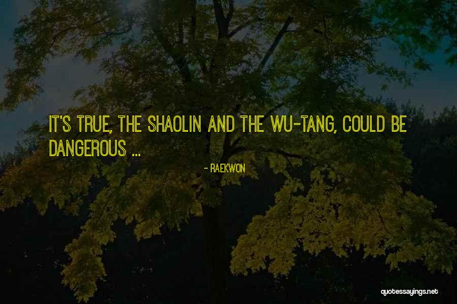 Remarca Dex Quotes By Raekwon Remarca Dex Quotes By Raekwon