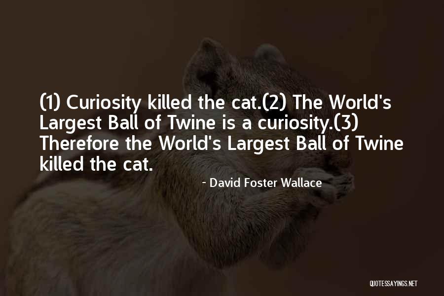 Remarkable Character Quotes By David Foster Wallace Remarkable Character Quotes By David Foster Wallace