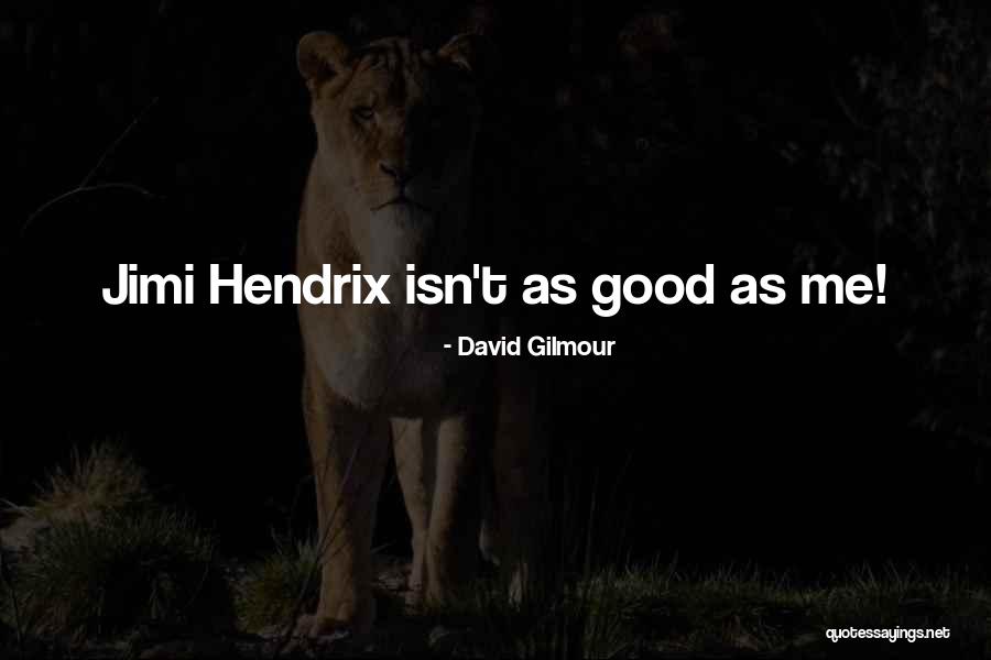 Remarkables Summary Quotes By David Gilmour Remarkables Summary Quotes By David Gilmour