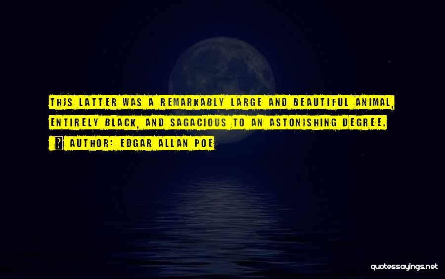 Remarkably Beautiful Quotes By Edgar Allan Poe
