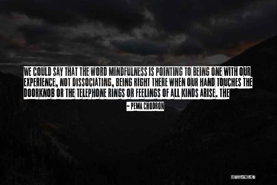 Remedavir Quotes By Pema Chodron Remedavir Quotes By Pema Chodron