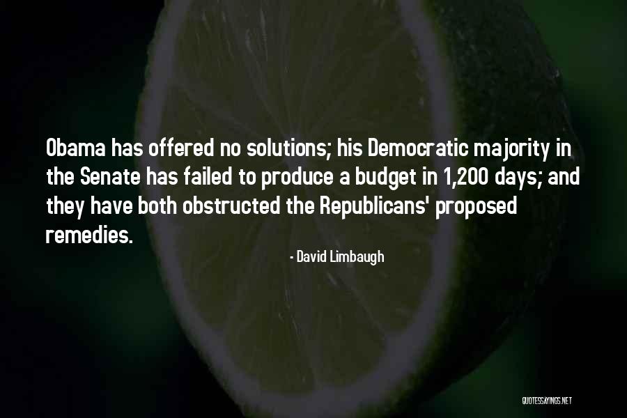 Remedies Quotes By David Limbaugh