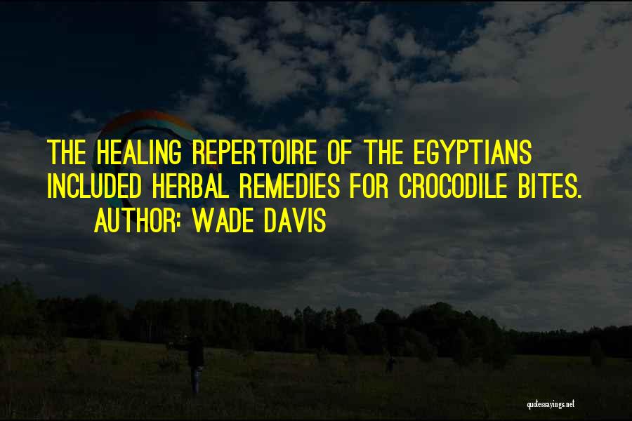 Remedies Quotes By Wade Davis