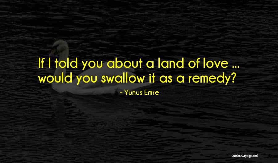 Remedy Love Quotes By Yunus Emre
