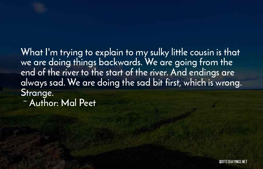 Remekdelo Ili Quotes By Mal Peet