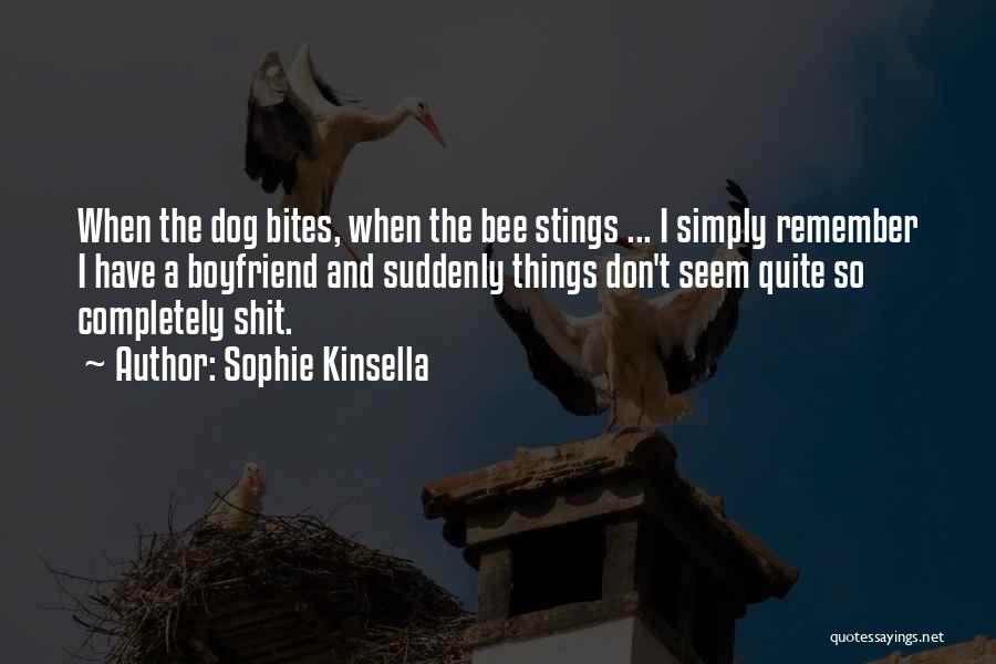 Remember Ex Boyfriend Quotes By Sophie Kinsella