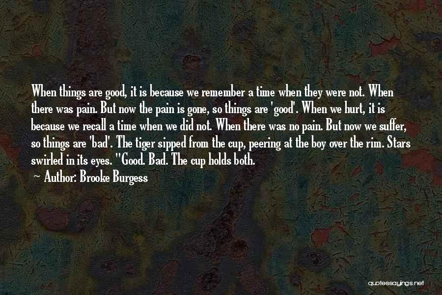 Remember Good Things Quotes By Brooke Burgess
