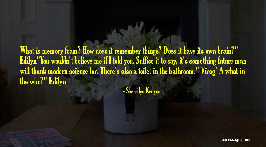 Remember Me Funny Quotes By Sherrilyn Kenyon