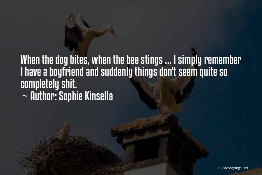 Remember Me Sophie Kinsella Quotes By Sophie Kinsella