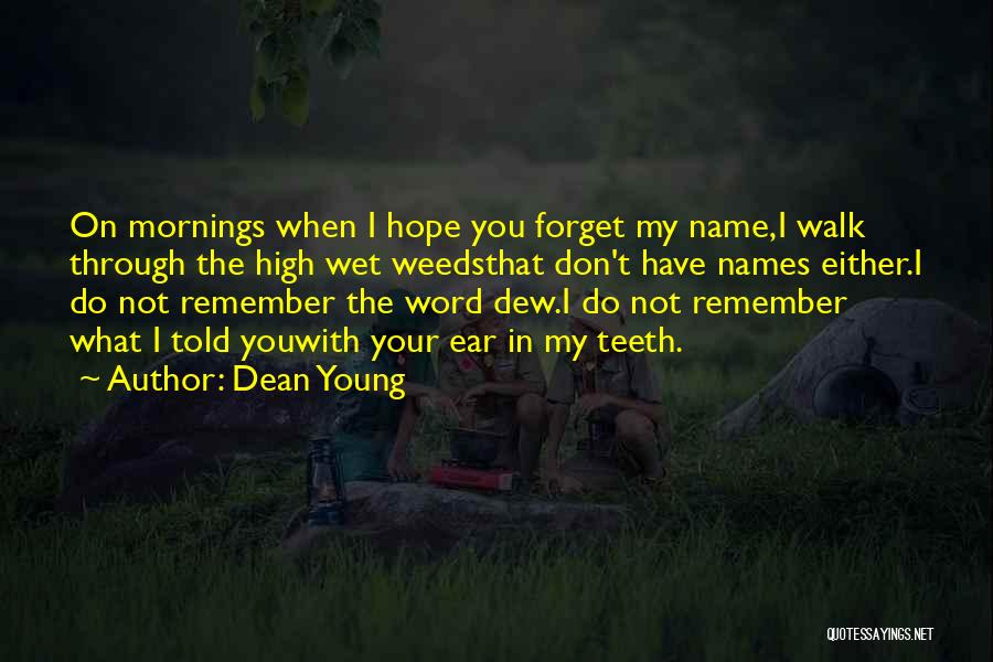 Remember My Name Quotes By Dean Young