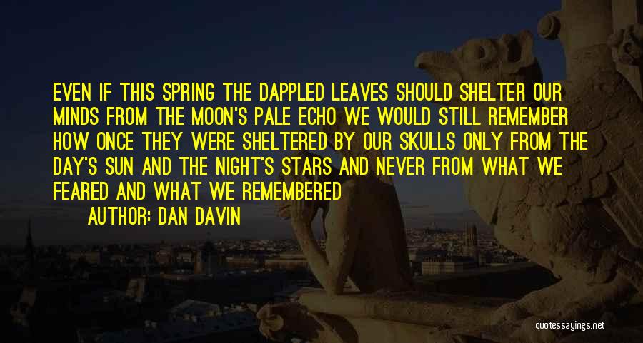 Remember Our Memories Quotes By Dan Davin