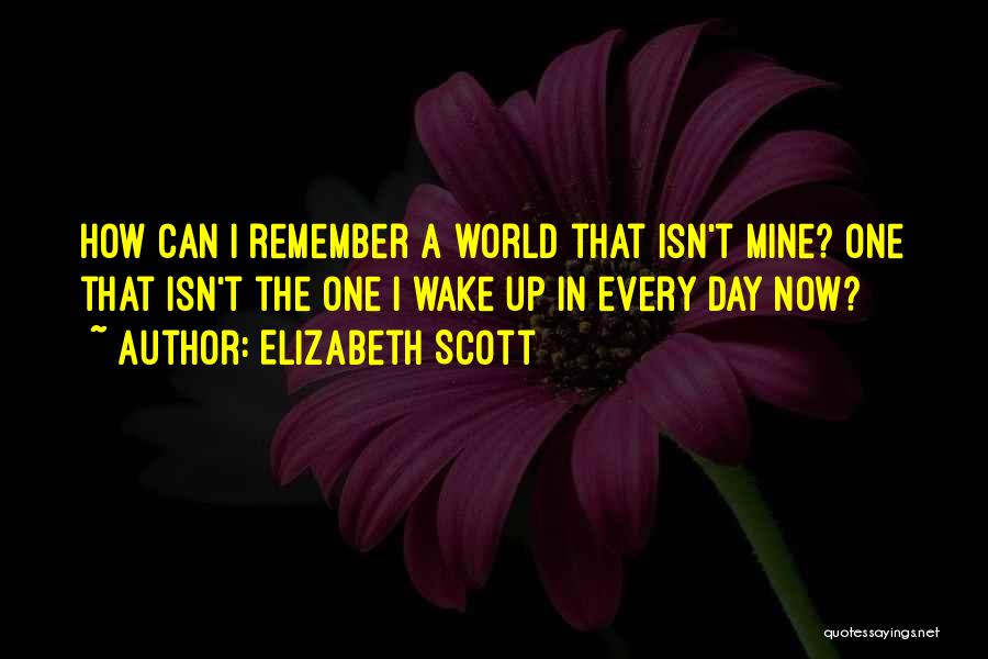 Remember That Day Quotes By Elizabeth Scott