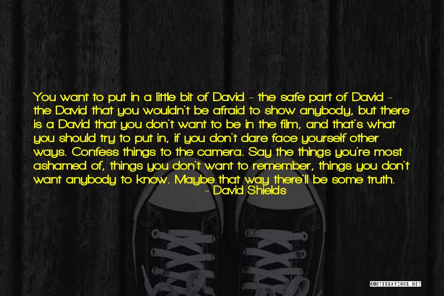Remember The Little Things Quotes By David Shields Remember The Little Things Quotes By David Shields