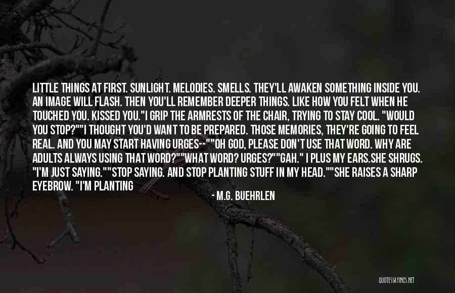 Remember The Little Things Quotes By M.G. Buehrlen Remember The Little Things Quotes By M.G. Buehrlen