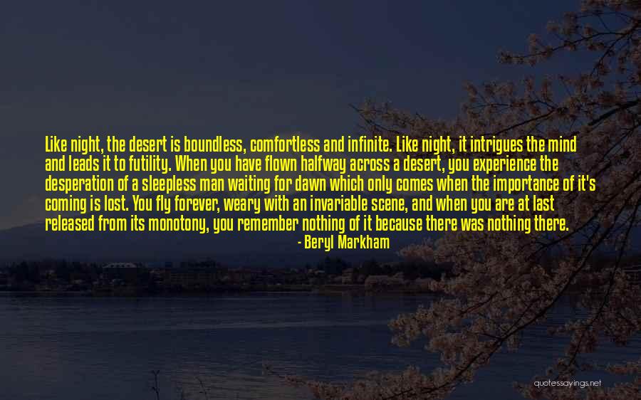 Remember The Night Quotes By Beryl Markham