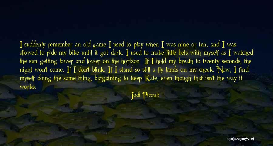 Remember The Night Quotes By Jodi Picoult