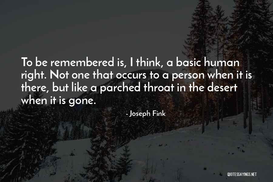 Remember The Night Quotes By Joseph Fink