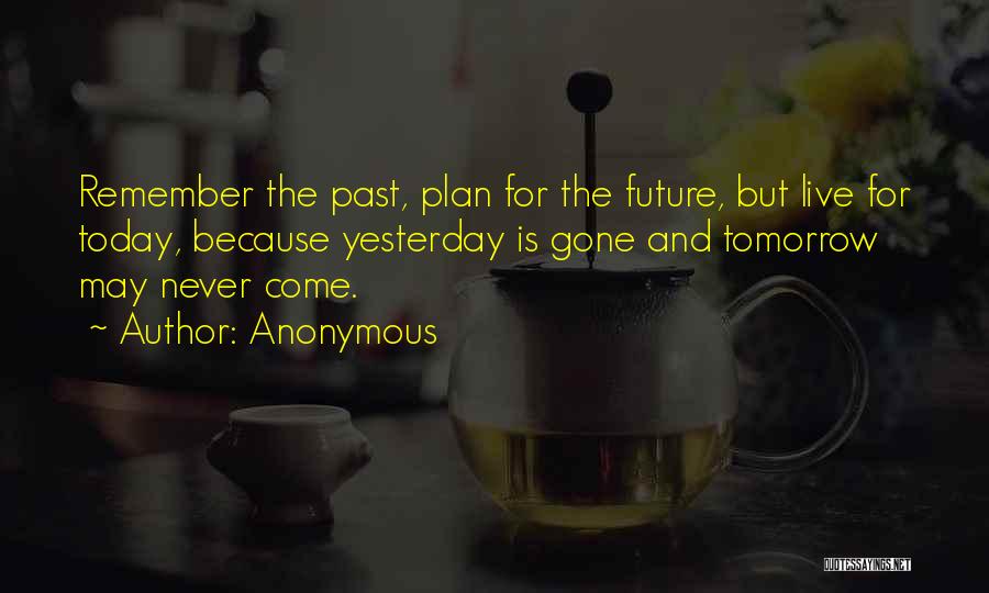 Remember The Past Plan For The Future Quotes By Anonymous