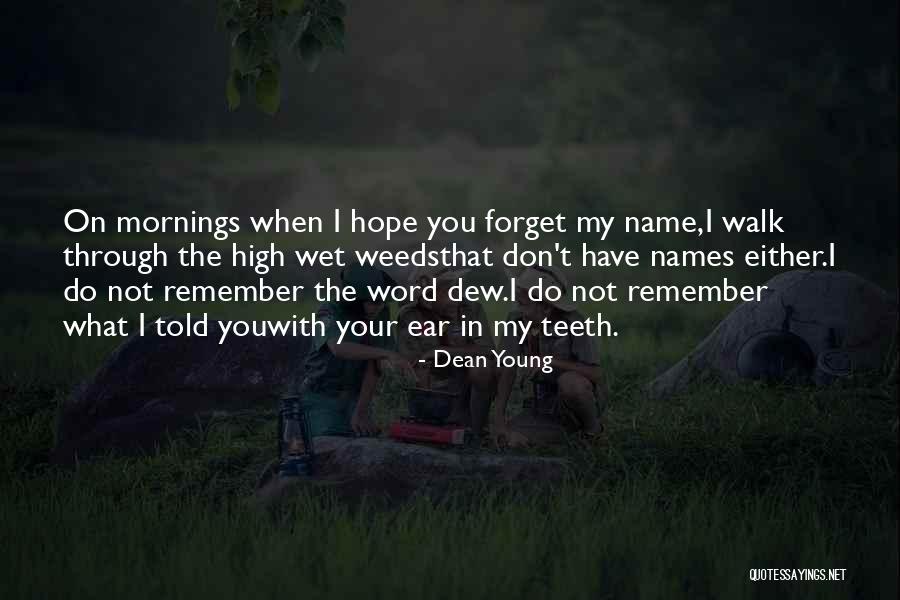 Remember The Walk Quotes By Dean Young