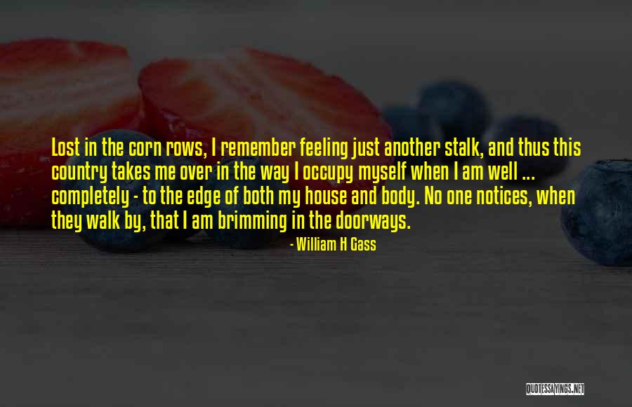 Remember The Walk Quotes By William H Gass