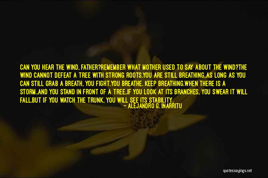 Remember To Breathe Quotes By Alejandro G. Inarritu