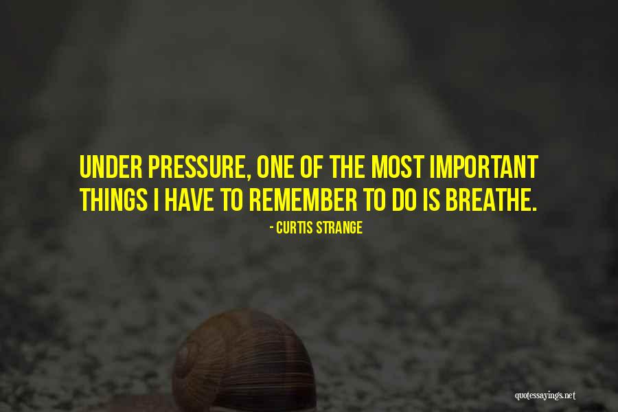 Remember To Breathe Quotes By Curtis Strange