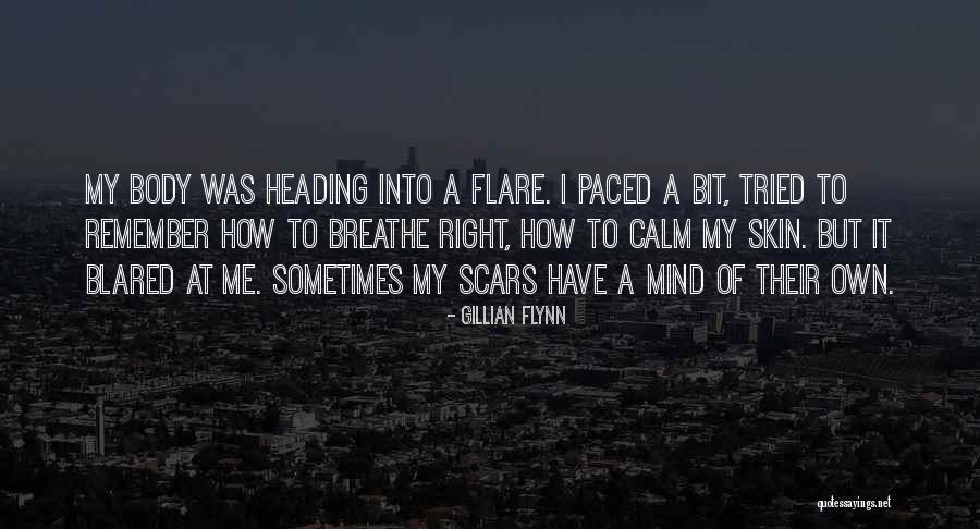 Remember To Breathe Quotes By Gillian Flynn