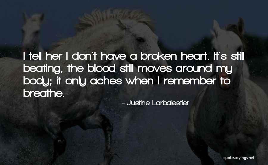 Remember To Breathe Quotes By Justine Larbalestier
