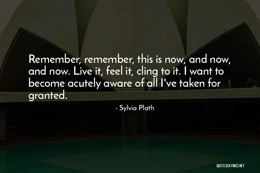 Remember To Live Life Quotes By Sylvia Plath Remember To Live Life Quotes By Sylvia Plath