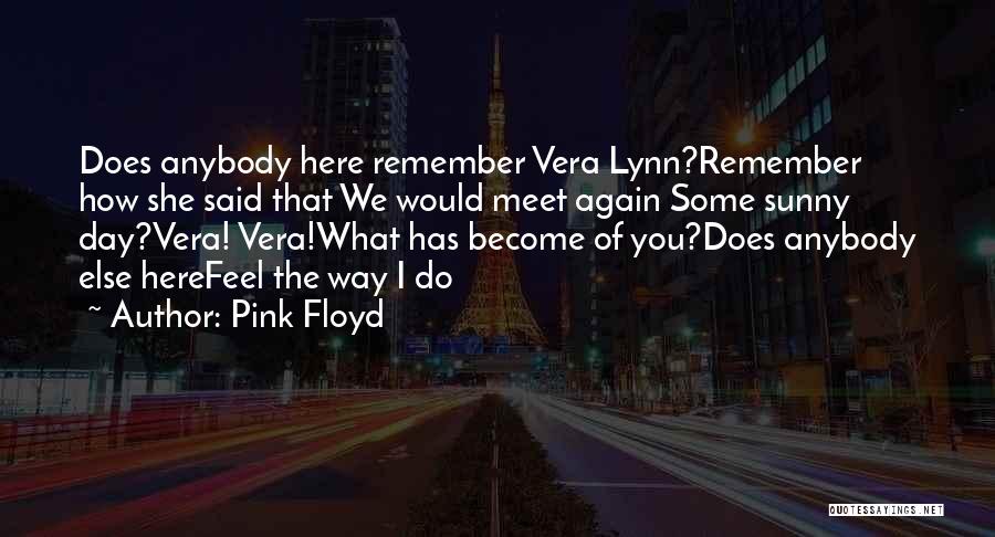 Remember What You Said Quotes By Pink Floyd