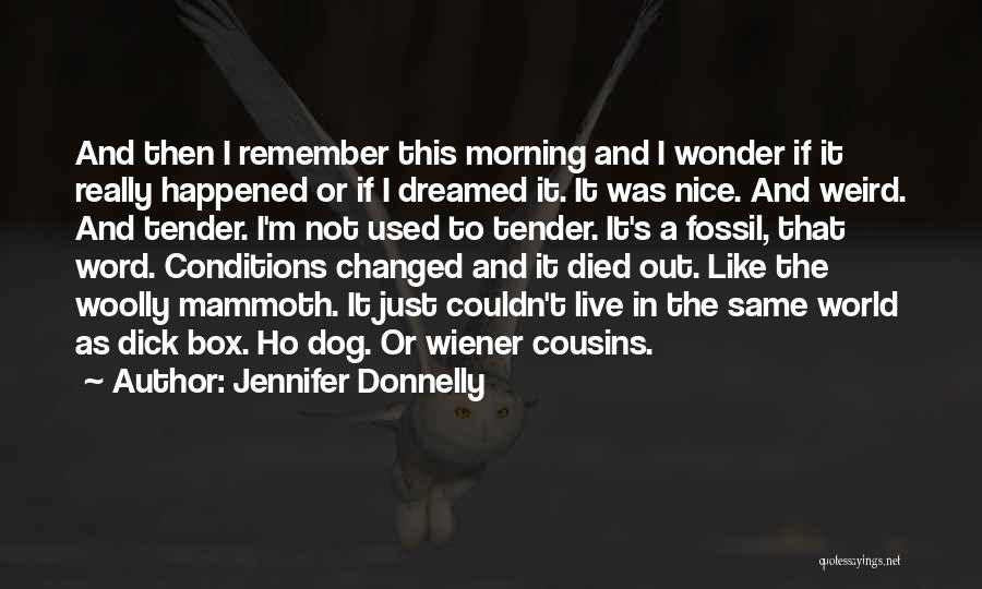 Remember When You Used To Love Me Quotes By Jennifer Donnelly