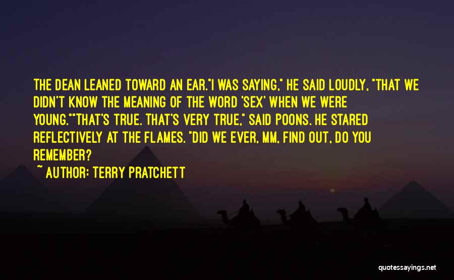 Remember When You Were Young Quotes By Terry Pratchett