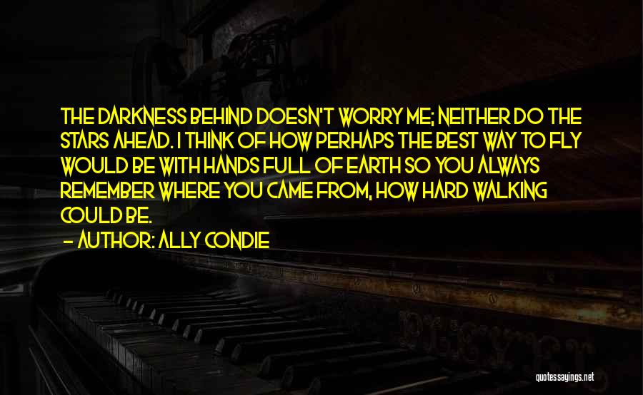 Remember Where You Came From Quotes By Ally Condie