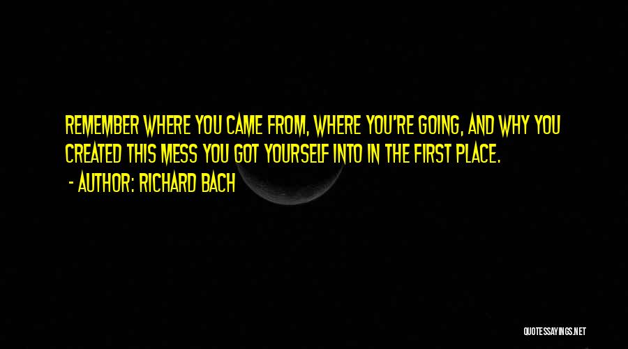 Remember Where You Came From Quotes By Richard Bach