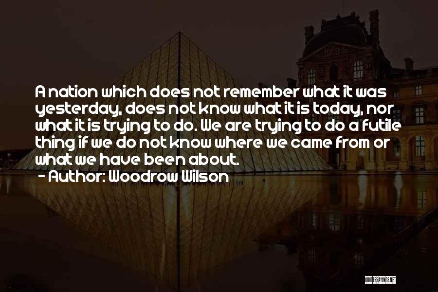 Remember Where You Came From Quotes By Woodrow Wilson