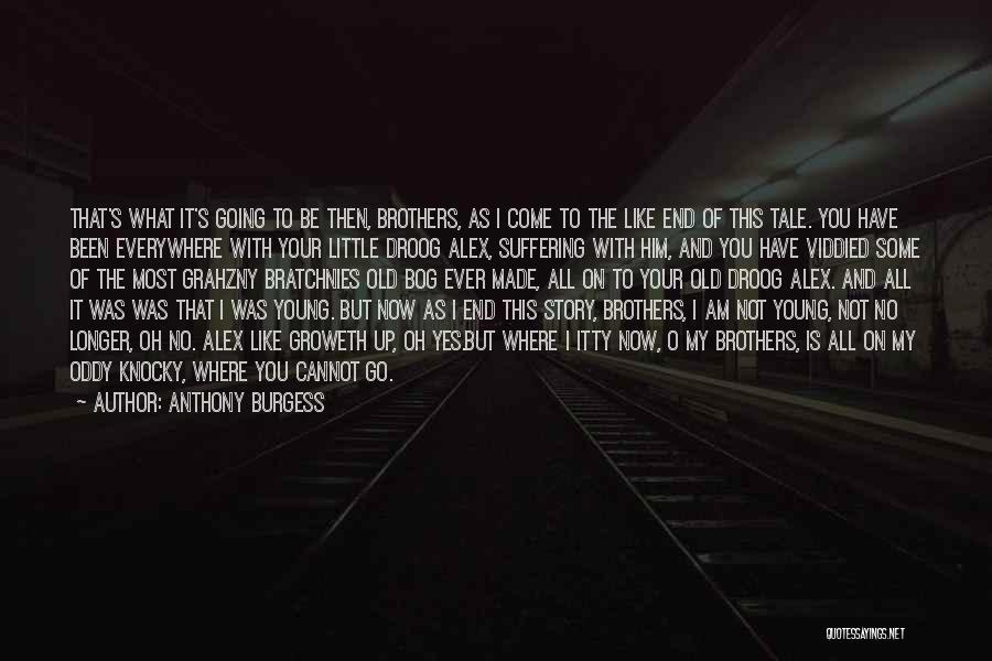 Remember Where You've Been Quotes By Anthony Burgess