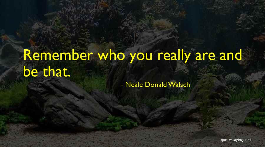 Remember Who You Really Are Quotes By Neale Donald Walsch